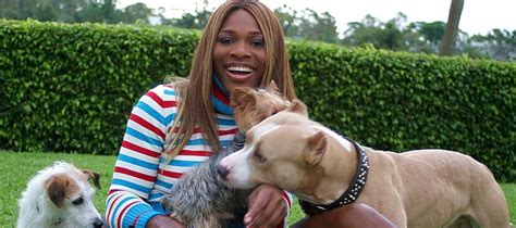 30 Celebrities That Absolutely Adore Pit Bulls Anguspost