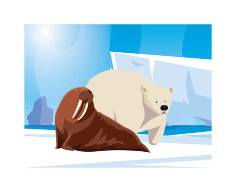 Arctic Animals At The North Pole Premium Vector