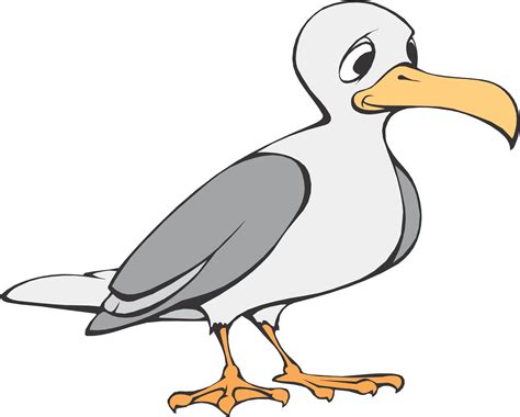 How To Draw A Seagull For Kids Clipart Best