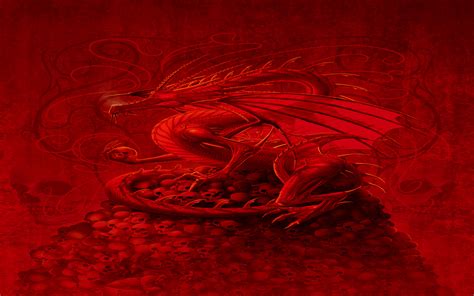Dragon Wallpaper Dragons Wallpaper 13975561 Fanpop
