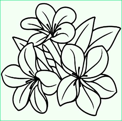 Gambar Bunga Sketsa Mudah