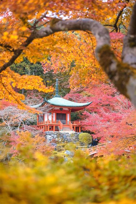 Daigo Ji Temple Kyoto Japan Japanese Photography Scenery Japanese