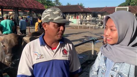 Manajemen Pemasaran Sapi Bali Di Pasar Beringkit Kabupaten Badung