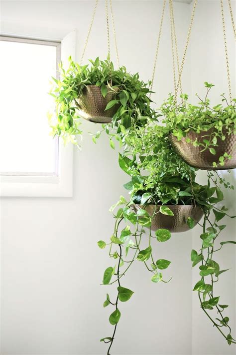 Easy Hanging Planter Diy Diy Hanging Planter Hanging