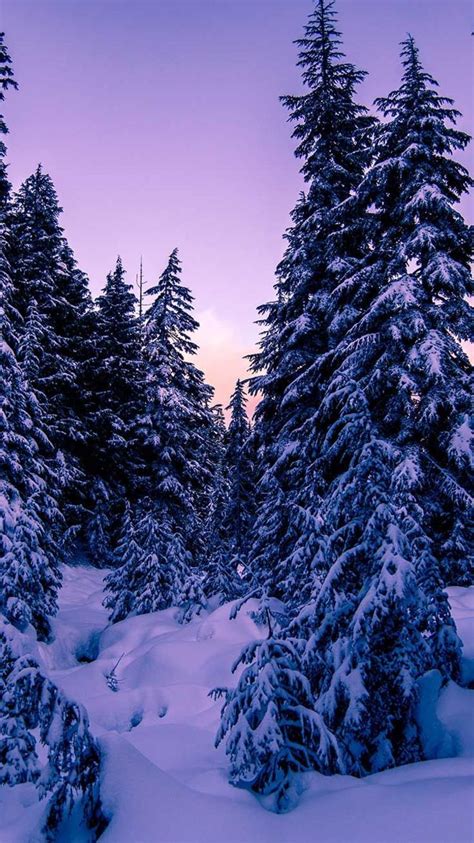 Discover more posts about indie wallpapers. Tumblr Iphone Wallpaper Indie in 2020 | Winter landscape ...