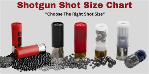 Use This Rifle Caliber Shotgun Shells Chart To Pick The Right Ammo