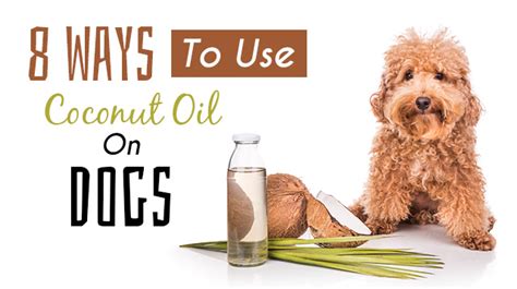 Neem is versatile and effective as a safe home remedy for a number of health issues, both for people and dogs. 8 Ways To Use Coconut Oil On Dogs