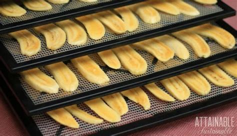 Dehydrating Bananas For A Delicious Natural Snack