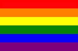 Originally an 8 color flag, this moving symbol was created by veteran, gilbert baker, after harvey milk asked him to. Homo- - LGBTQIA+ Info