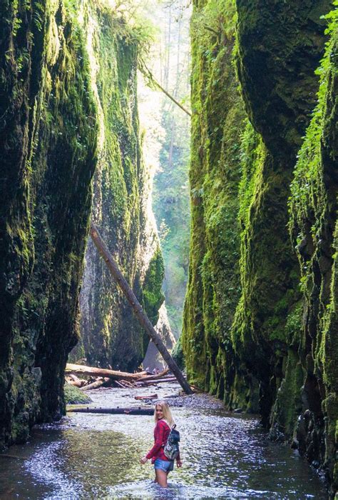 It is also quite the destination for nature enthusiasts. 6 Incredible Waterfalls To Visit Near Portland, Oregon in ...