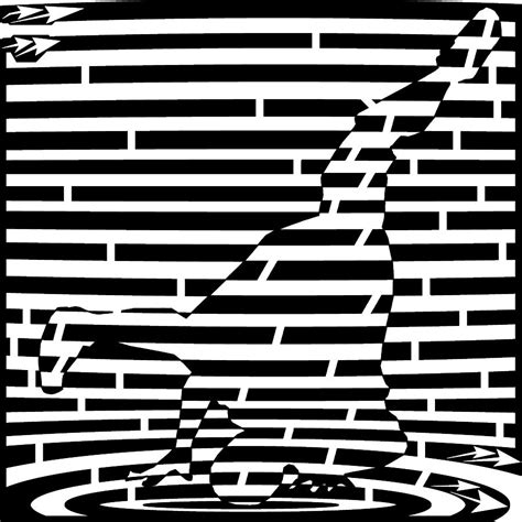 Abstract Distortion Break Dance Maze Drawing By Yonatan Frimer Maze Artist