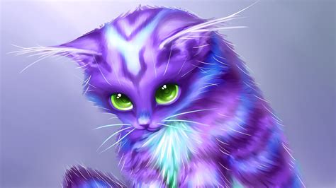 Purple Cat Wallpapers Wallpaper Cave