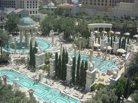 Tree limb removal costs vary, but it is usually between $50 and $75. 88 best images about las vegas swimming pools on Pinterest