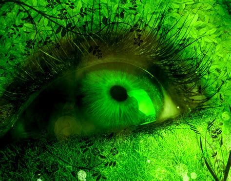 Green Eye Cool Eye Abstract Green Hd Wallpaper Pxfuel