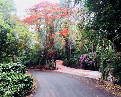 32 Km Loop Road Yercaud All You Need To Know Before You Go