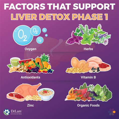 Liver Detox Phases What To Expect