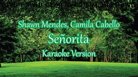 Shawn Mendes Camila Cabello Señorita Karaoke Lirik Tanpa Vokal