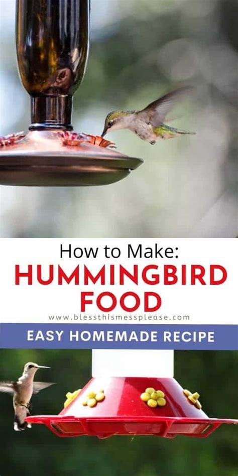 The Best Homemade Hummingbird Food Recipe Bless This Mess