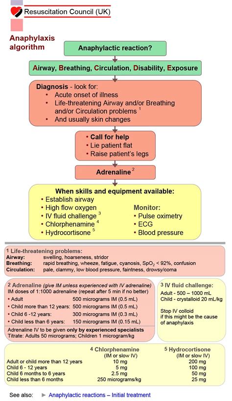 Anaphylactic Shock Guidelines Homecare24