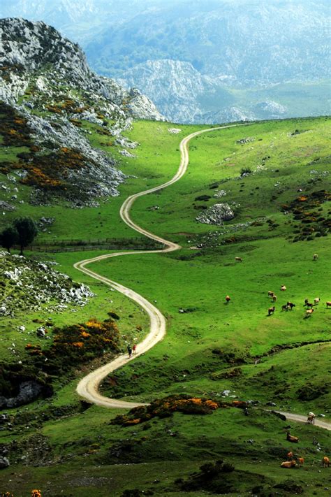 Winding Path Asturias Spain By Jorge Sanz Martin Hiking