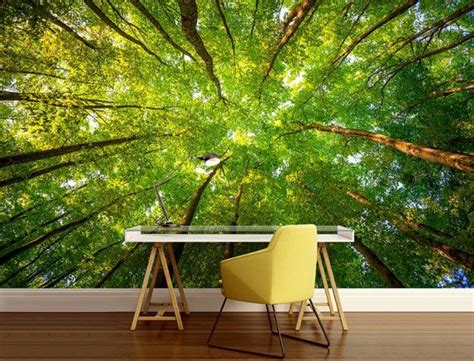 Ceiling Forest Wallpaper Trees Wall Mural Green Tree Forest Backyard
