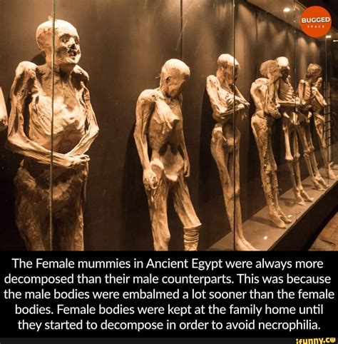 The Female Mummies In Ancient Egypt Were Always More Decomposed Than