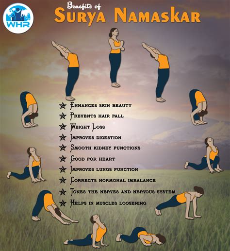 Surya Namaskar Poses X Ray Yoga For Strength And Health From Within