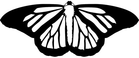 See more ideas about silhouette butterfly, silhouette, butterfly. Monarch Butterfly Silhouette | Free vector silhouettes