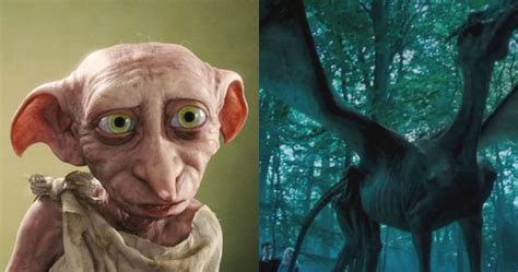 Harry Potter 5 Creatures Wed Want As Pets And 5 We Definitely Would Not