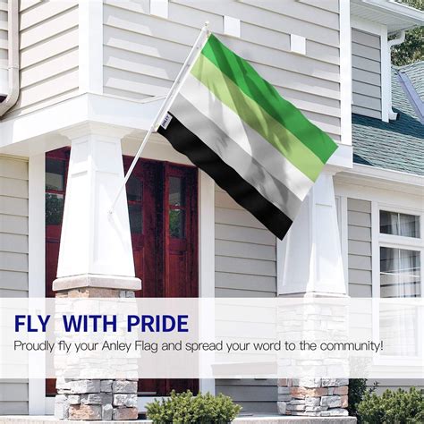 Anley Fly Breeze 3×5 Feet Aromantic Pride Flag Vivid Color And Fade
