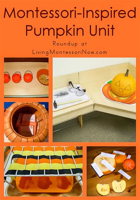 Montessori Inspired Pumpkin Unit