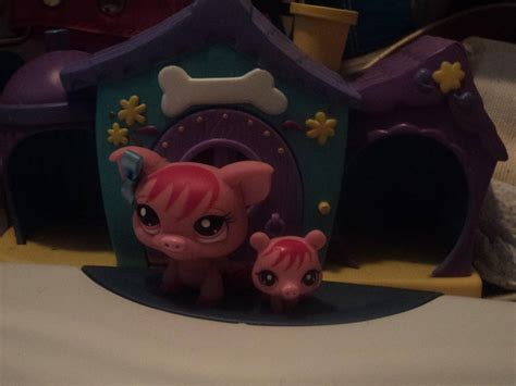 Lps Mommy And Baby Sets Mommy And Baby Piggies By Katieluv2sing18 On