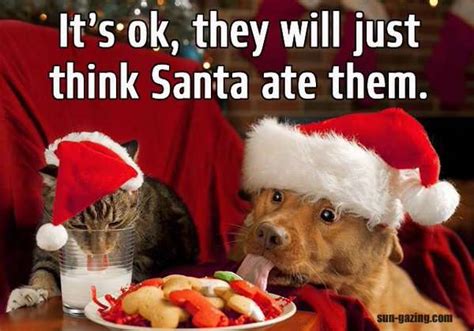 The Best Christmas Memes Weve Seen This Year Nova 969