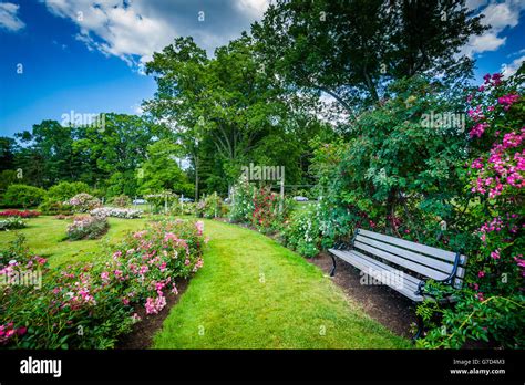Rose Gardens At Elizabeth Park In Hartford Connecticut Stock Photo