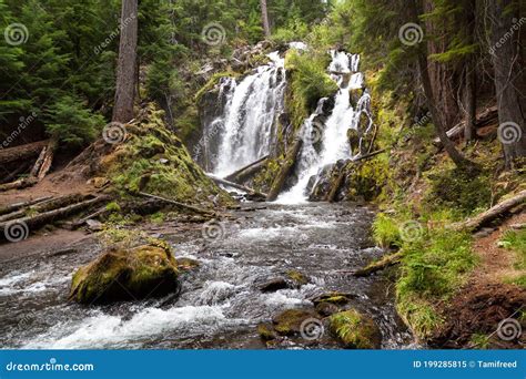 National Creek Falls In Southern Oregon Cascades Stock Image Image Of