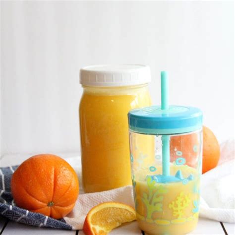 This is easiest homemade pedialyte recipe! Easy Homemade Pedialyte Electrolyte Drink | Recipe ...