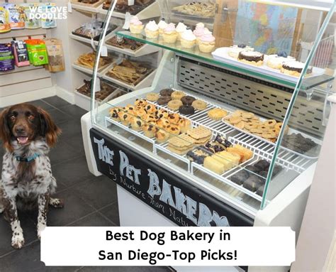 Best Dog Bakery In San Diego Top 6 Picks 2024 We Love Doodles