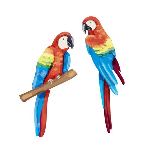Hand Drawn Pair Of Parrots Download Free Vectors Clipart Graphics
