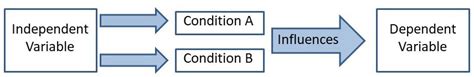 Independent Dependent And Extraneous Variables Simply Psychology