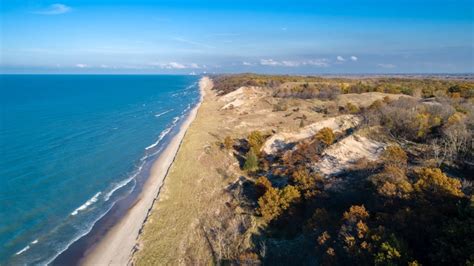 Amazing Birding At The Indiana Dunes