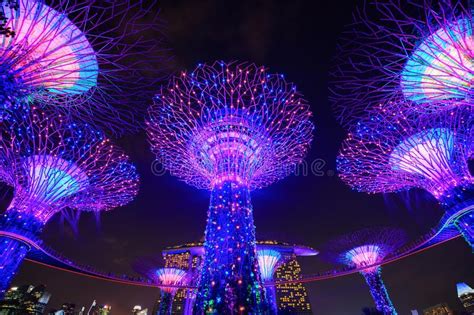 Gardens By The Bay With Light At Night Singapore Editorial Stock Image