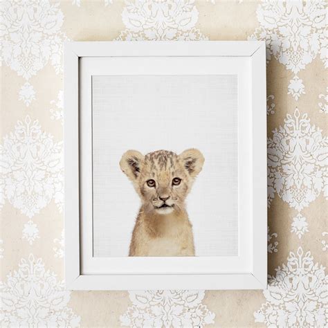 Lion Print Baby Lion Print Safari Nursery Print Nursery Etsy