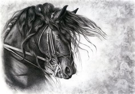 Friesian Drawing Horse Sketch Art Horses Horse Painting