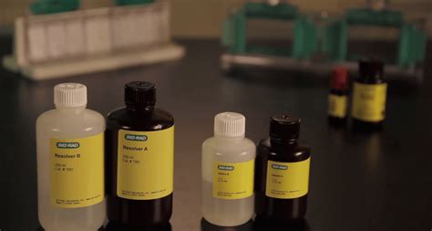 Casting Polyacrylamide Gels With Tgx And Tgx Stain Free Fastcast