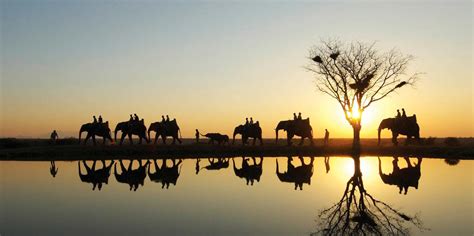 Top 10 Safari Destinations In The World Welgrow Travels Blog