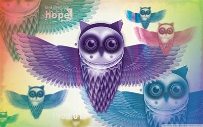 Buho Owls Significado Owl Wallpapers Musica Todos