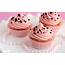 Cupcakes  Food Wallpaper 35972764 Fanpop