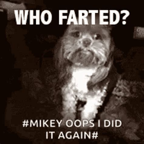 Fart Dog  Fart Dog Notme Discover And Share S