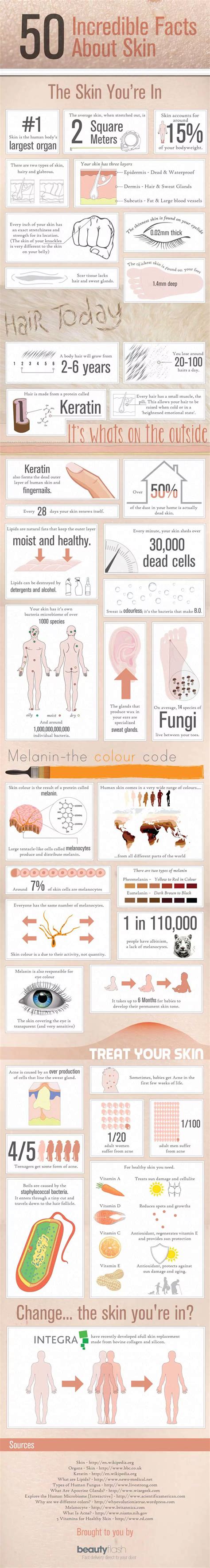 50 Incredible Facts About Skin 46 Health Infographics That You Wish
