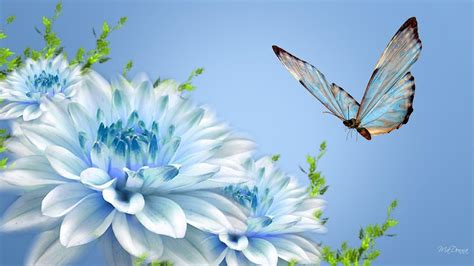 Butterfly And Flowers Wallpapers Top Free Butterfly And Flowers